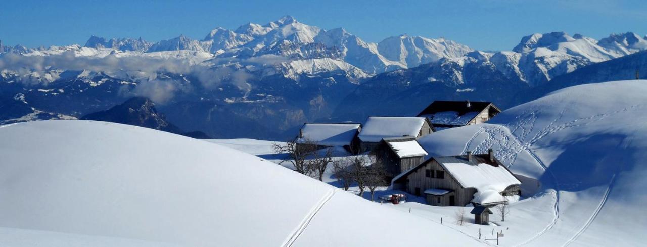 Les Chalets De Ludran Viuz-en-Sallaz Екстериор снимка